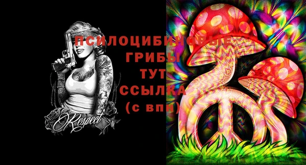 бошки Нефтегорск
