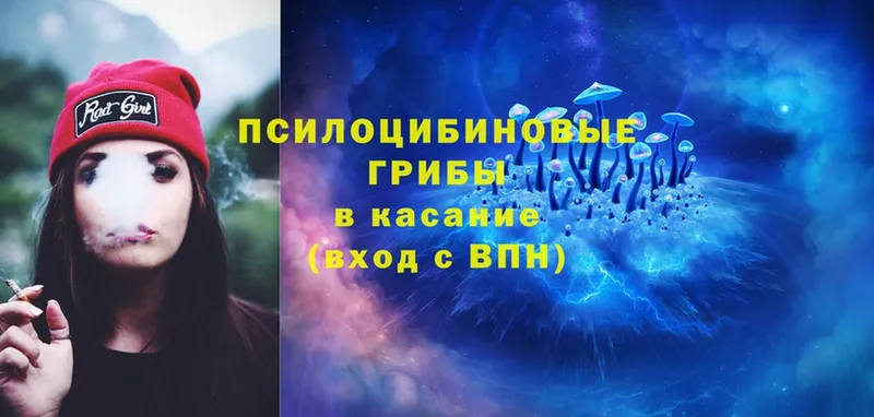 Псилоцибиновые грибы Cubensis  ОМГ ОМГ как зайти  Бабушкин 