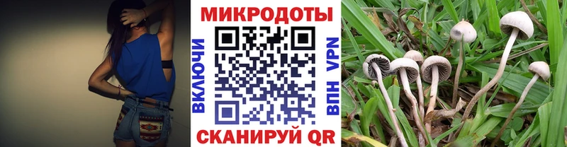 Псилоцибиновые грибы Psilocybe Бабушкин